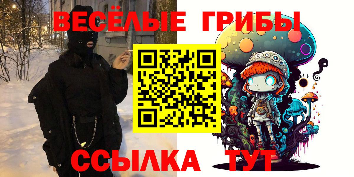 Псилоцибиновые грибы Psilocybe Кунгур