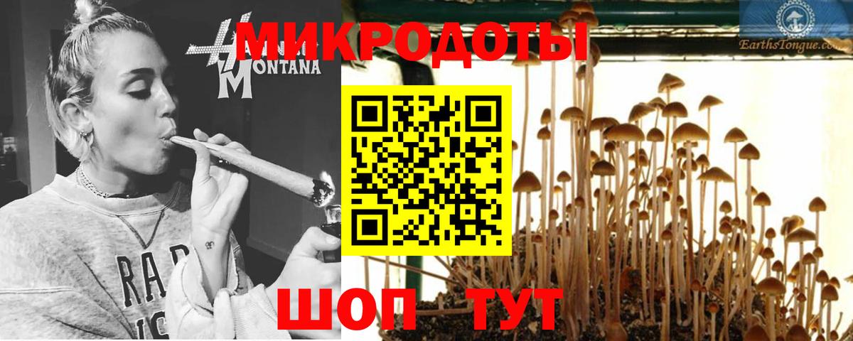 Псилоцибиновые грибы прущие грибы  Вход с VPN  Галлюциногенные грибы прущие грибы  Кунгур 